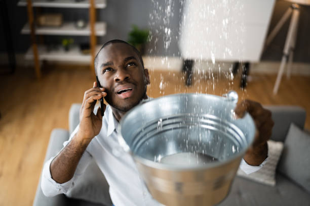 Best Water damage restoration mold remediation  in Addis, LA