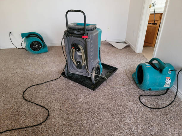Best Local water damage restoration  in Addis, LA