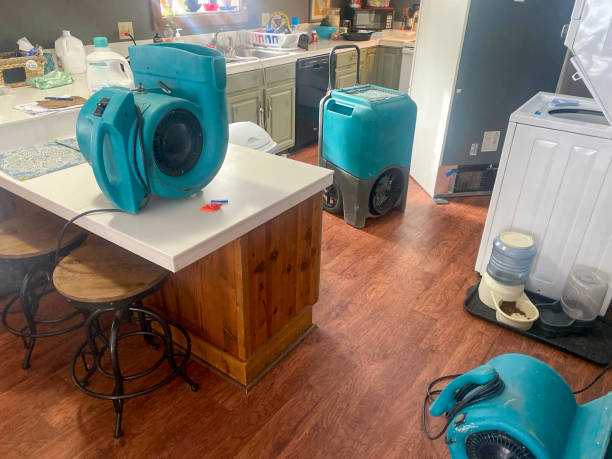 Best Flood restoration services  in Addis, LA