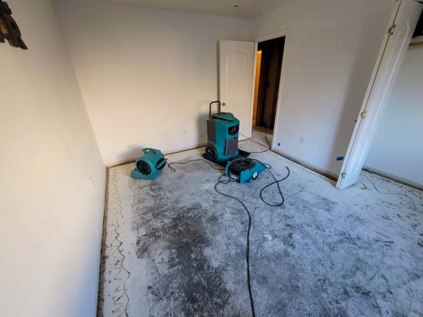 Best Flooded house restoration  in Addis, LA