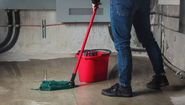 Best Residential water damage restoration  in Addis, LA