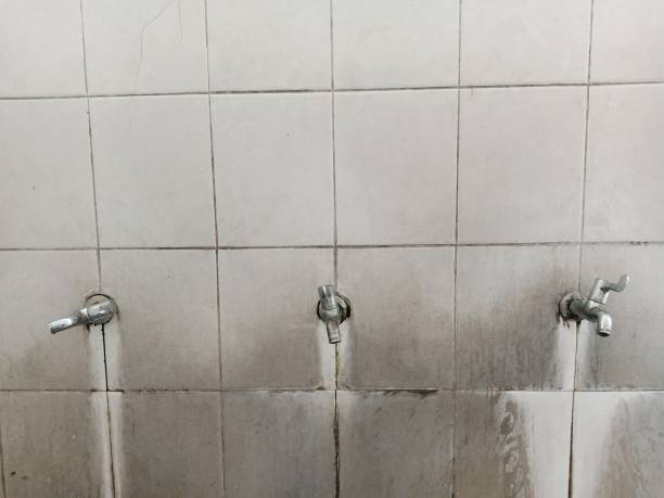 Best Emergency water damage restoration  in Addis, LA