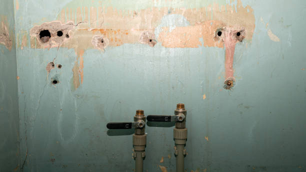 Best Water damage restoration near me  in Addis, LA