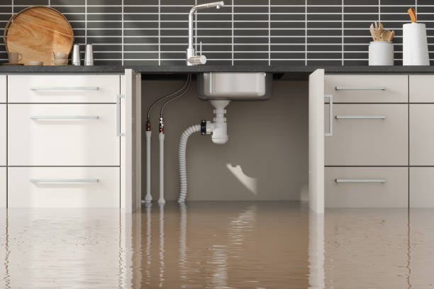 Best Fire Damage Restoration  in Addis, LA