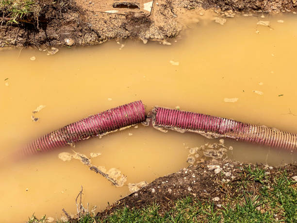  Addis, LA Water damage restoration Pros