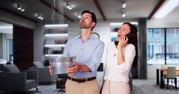 Best Ceiling water damage repair  in Addis, LA