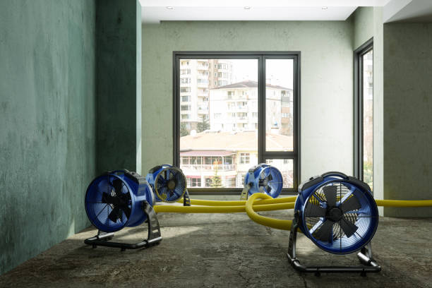 Best Water damage contractors near me  in Addis, LA