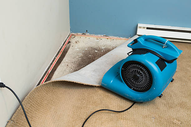Best Flood damage cleanup  in Addis, LA